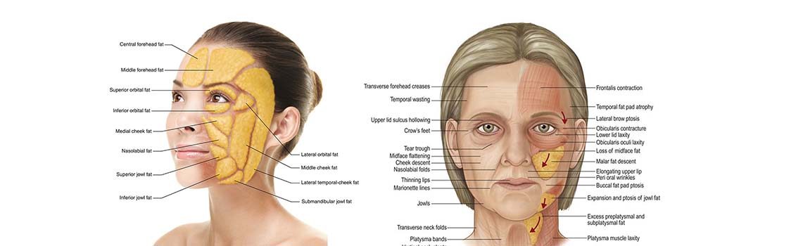 nanofat article doctorhami.com